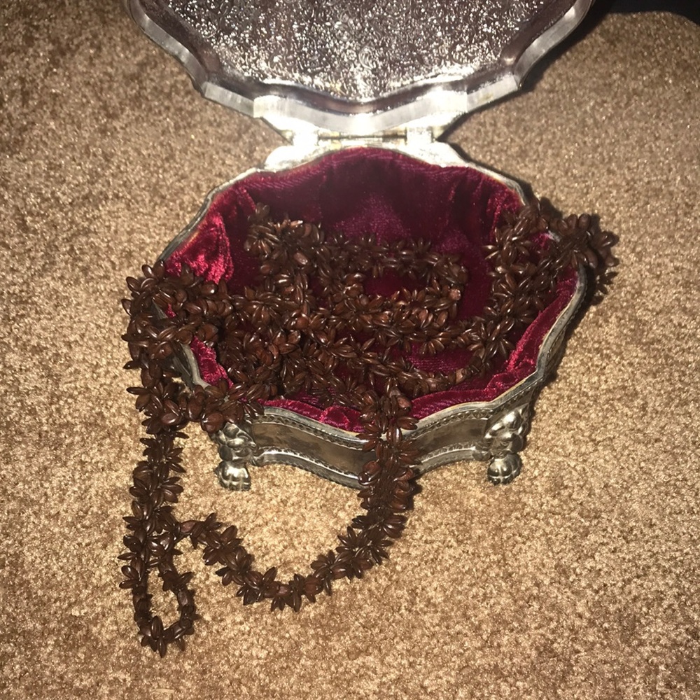 Apple Seed Necklace